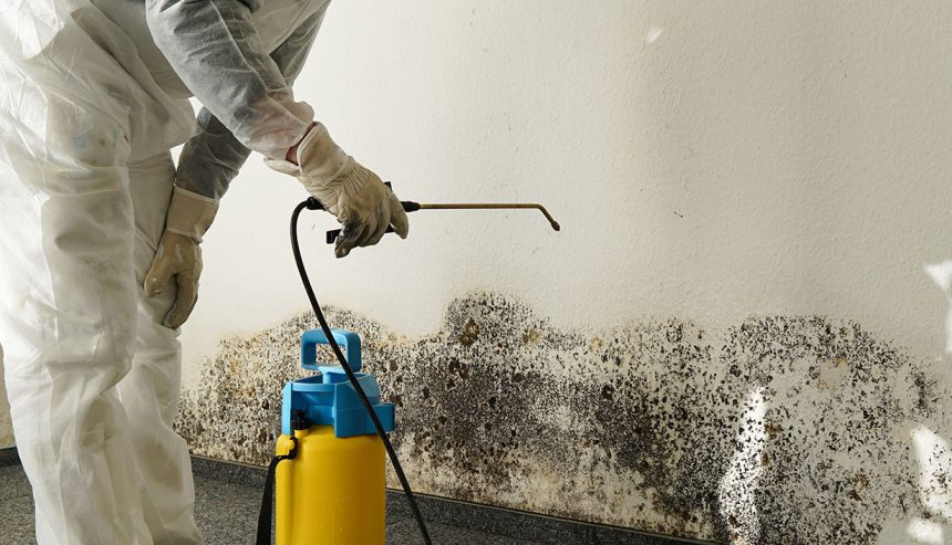 Mold removal experts Nanuet NY