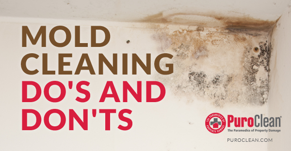Mold