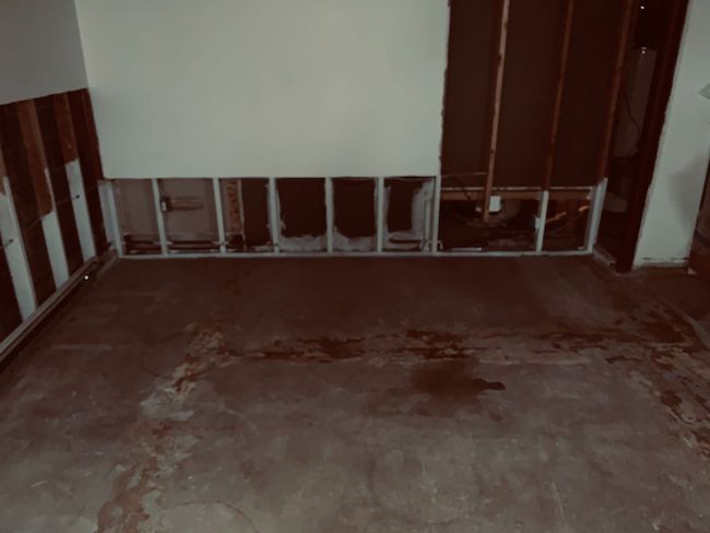 Mold Infestation