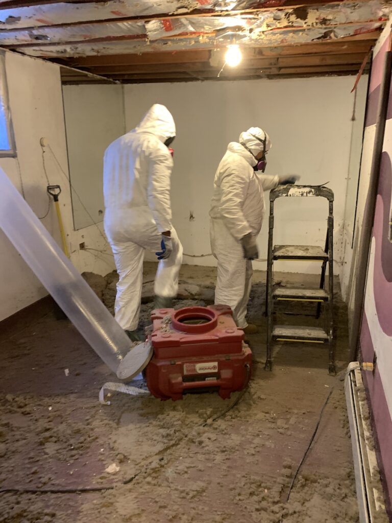 Mold
