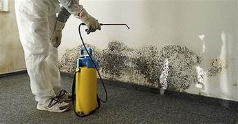 mold remediation