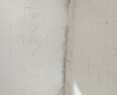 Mold on wall before mold removal by PuroClean of Naples FL
