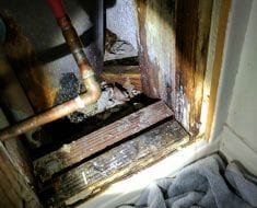 Moldy wood and pipe by PuroClean of Naples FL