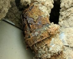Mold covered pipe discovered by PuroClean of Naples FL