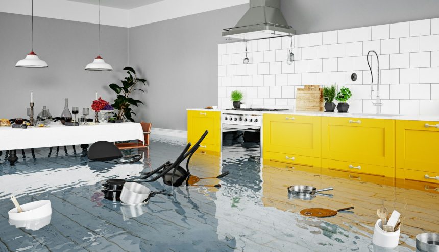 Roof repair services image by PuroClean