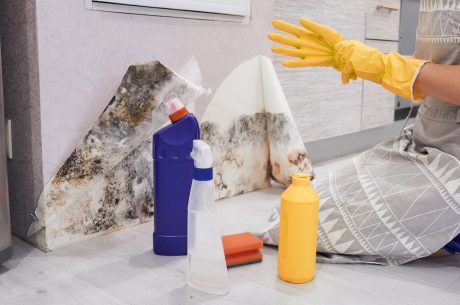 Housekeeper cleaning mold from a wall