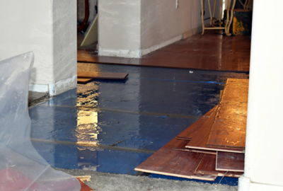 Flood Restoration