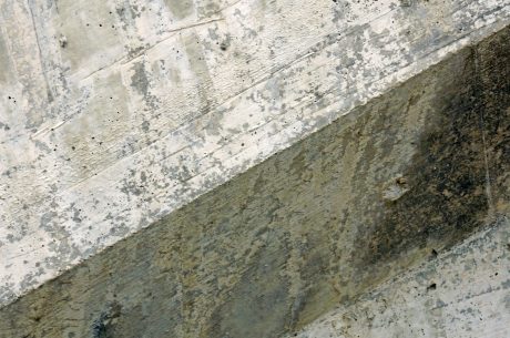 Mold Remediation