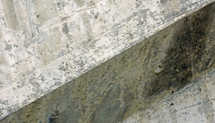 Mold Remediation