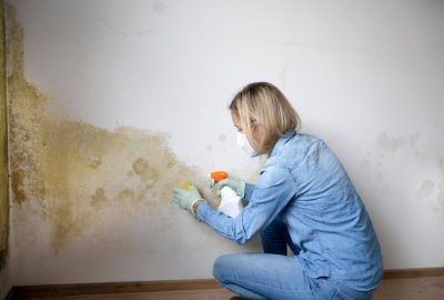 mold growth