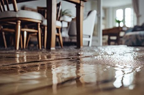 water removal service