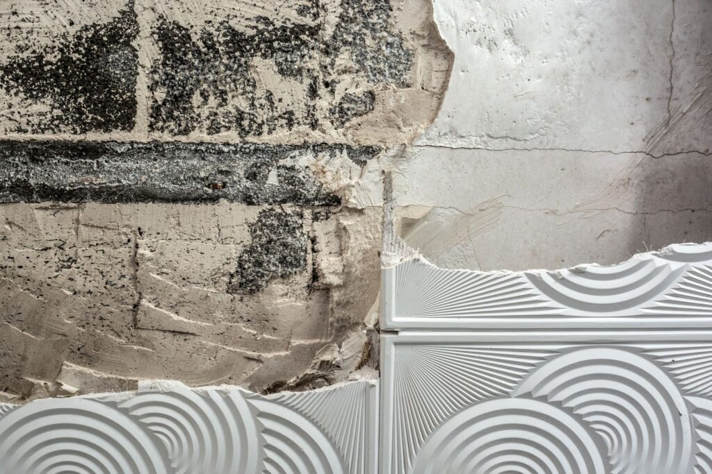 mold