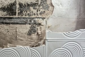mold