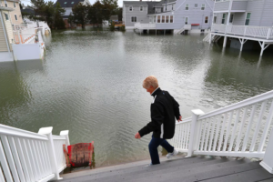 basement flooding remediation Winchester