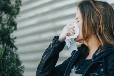 Mold Allergies Brockton MA homeowners experience often spike during spring due to increased moisture, humidity, and hidden indoor mold growth.