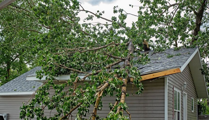 A fallen tree branch rests on the roof of a house, with leaves scattered around and cloudy skies above.