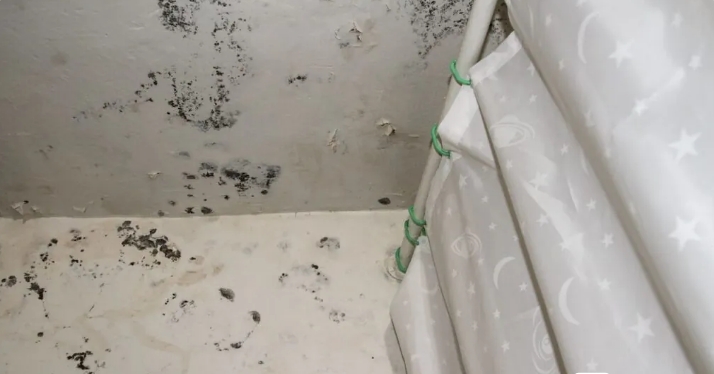 Mold growth on walls and floor in a dimly lit room, highlighting potential hazards in home buying.