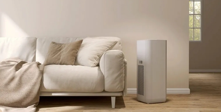 Dehumidifier in living room reducing humidity to prevent mold growth in New England home