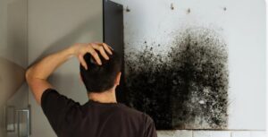 Mold removal Providence RI service by PuroClean of New Bedford inspecting residential mold damage and moisture issues