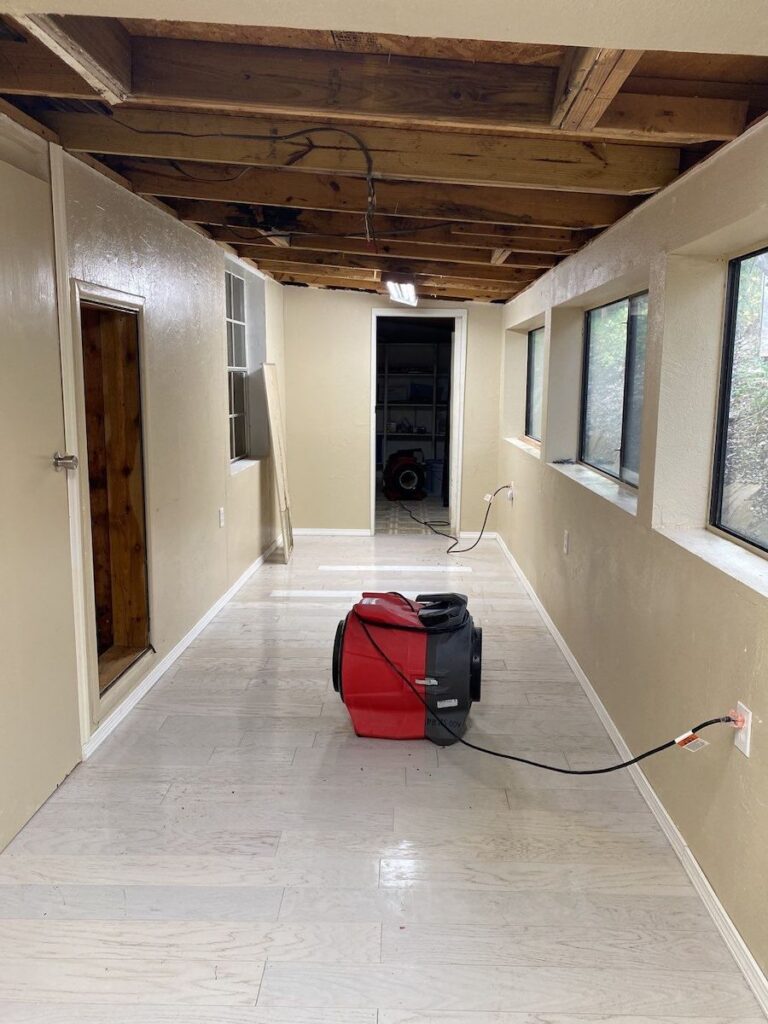 mold growth