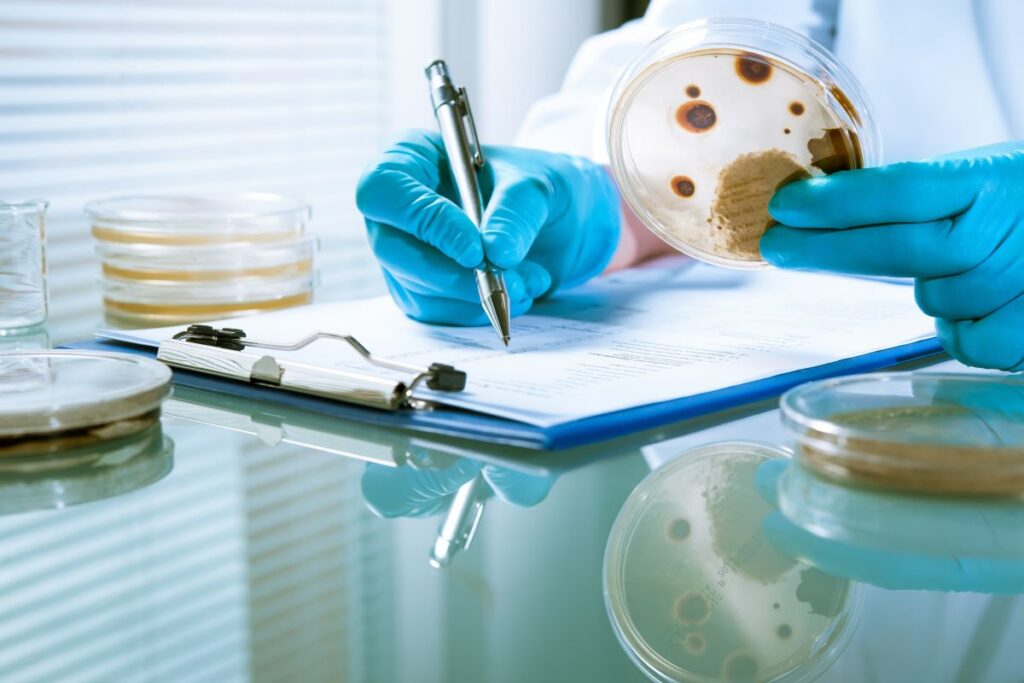Lab-mold-inspection