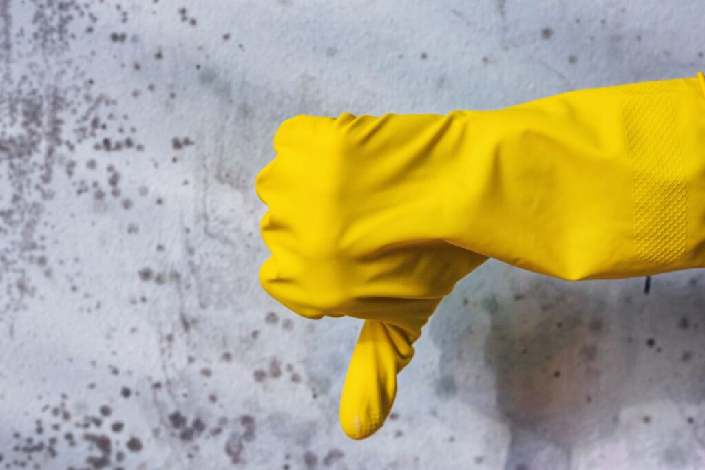 mold-cleanup-in-your-home