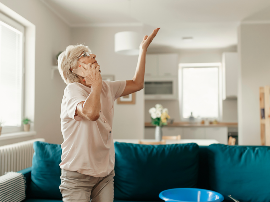 restoration_vs_construction