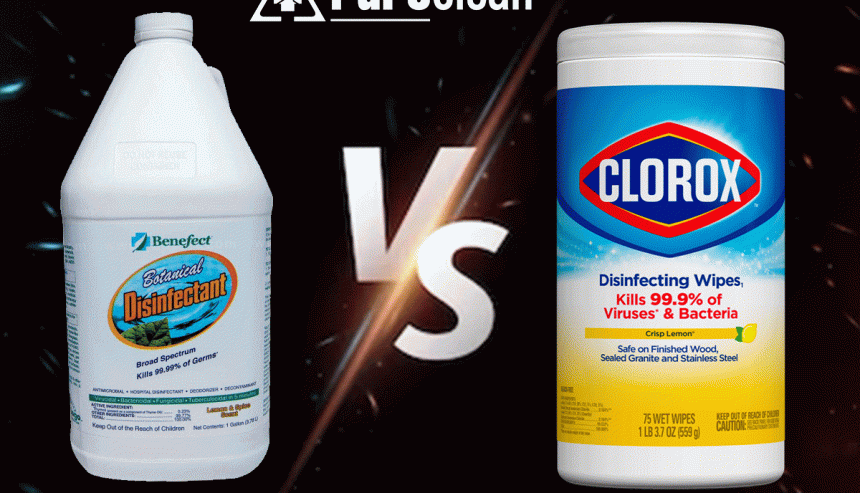 disinfectant