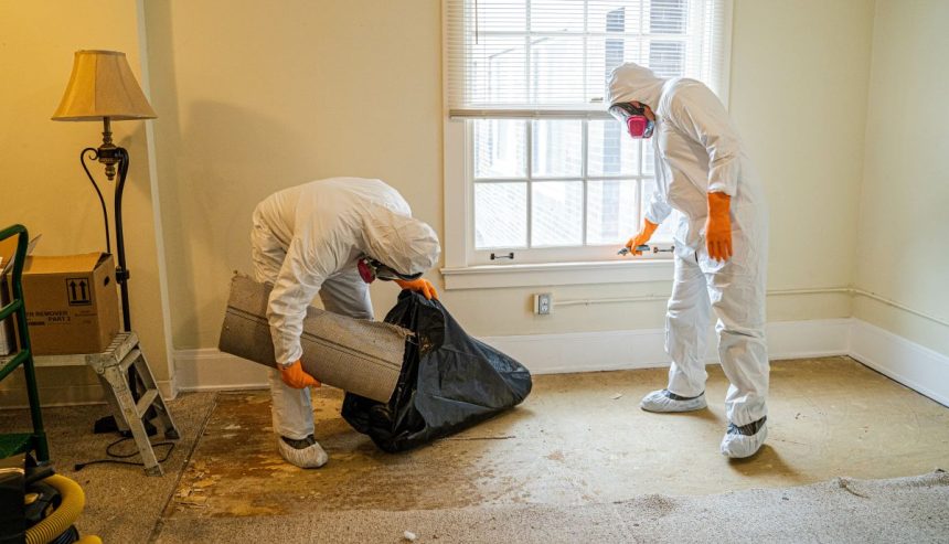 misconceptions-about-mold-2