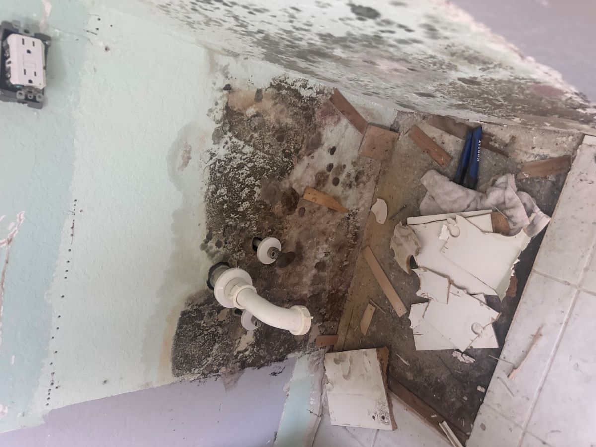 Tampa Water Damage Category : PuroClean’s After Action Report