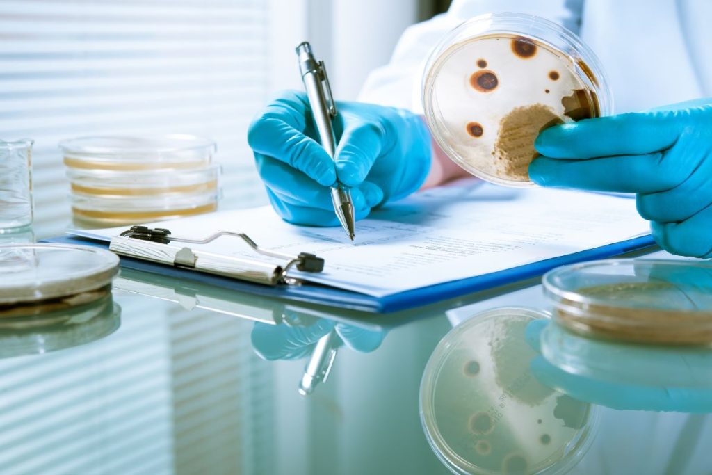 Lab-mold-inspection