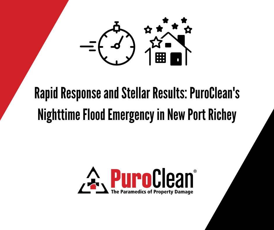 Rapid Response and Stellar Results: PuroClean’s Nighttime Flood Emergency in New Port Richey