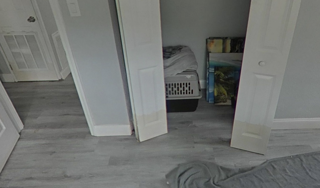 flood-cleanup