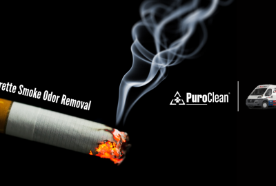 cigarette smoke odor removal