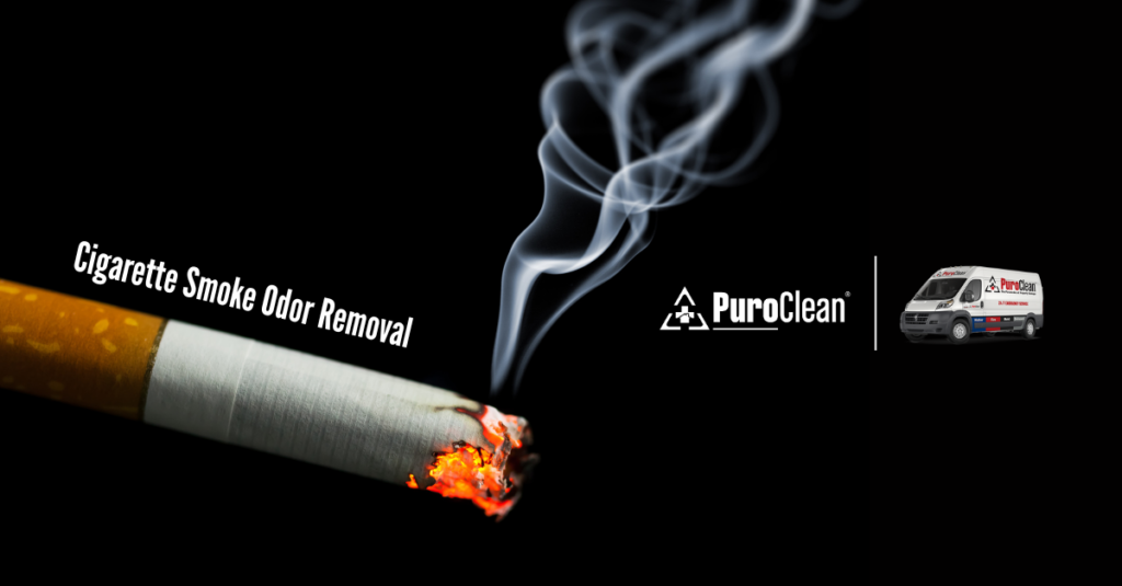 cigarette smoke odor removal
