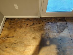 Understanding how water damage can affect the value of your home