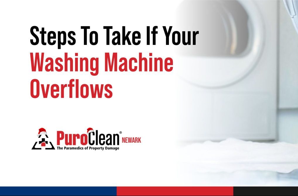 Empower Your Cleanup: Steps for a Washing Machine Overflow Crisis