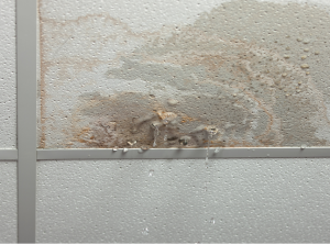 water damage in commercial buildings can start small like this dripping ceiling, and get much worse quickly