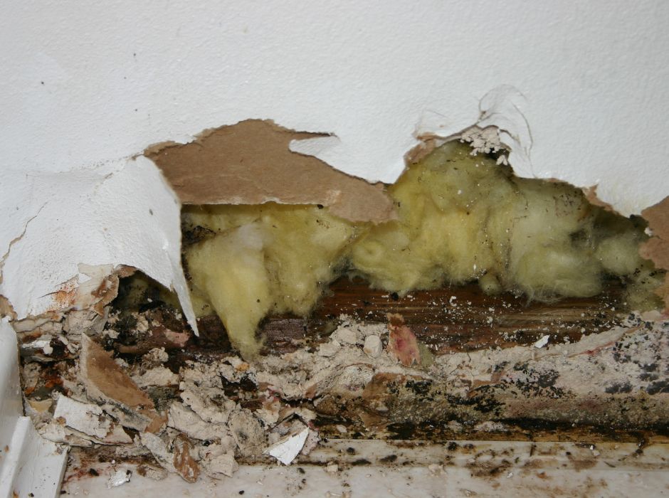 water damage in commercial buildings repair cost adds up when water damage becomes mold and structural damage