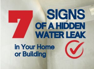 7 Signs of Hidden Water Leak blog image