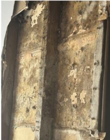 Heavy mold growth was discovered behind water-damaged walls.