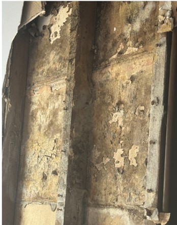 Heavy mold growth was discovered behind water-damaged walls.