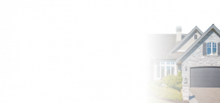 Read More about Mold Remediation