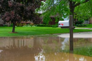 Spring rain water damage