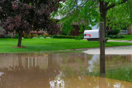 Spring rain water damage
