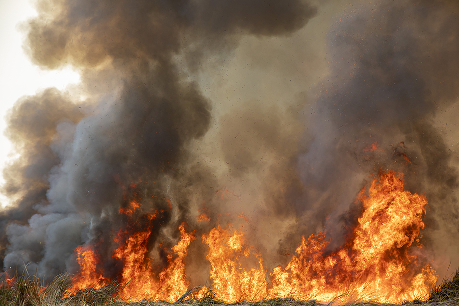 Understanding Smoke Damage: Types, Effects, and Prevention