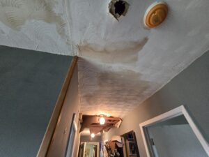 Hallway ceiling with visible water damage from minor leaks, including brown stains, peeling plaster, and multiple holes exposing the structure near light fixtures and a smoke detector.