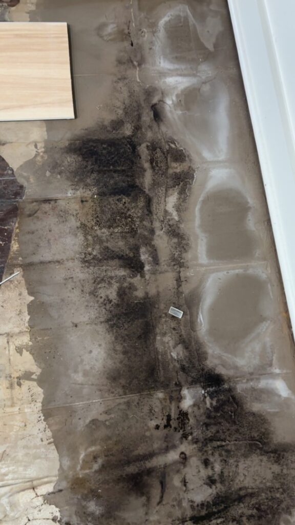 Commercial pipe burst causing severe water damage and black mold growth on exposed concrete subfloor along a wall during flooring removal and restoration work