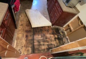 Water damage in a residential kitchen exposing a soaked subfloor with black staining after flooring removal during restoration.