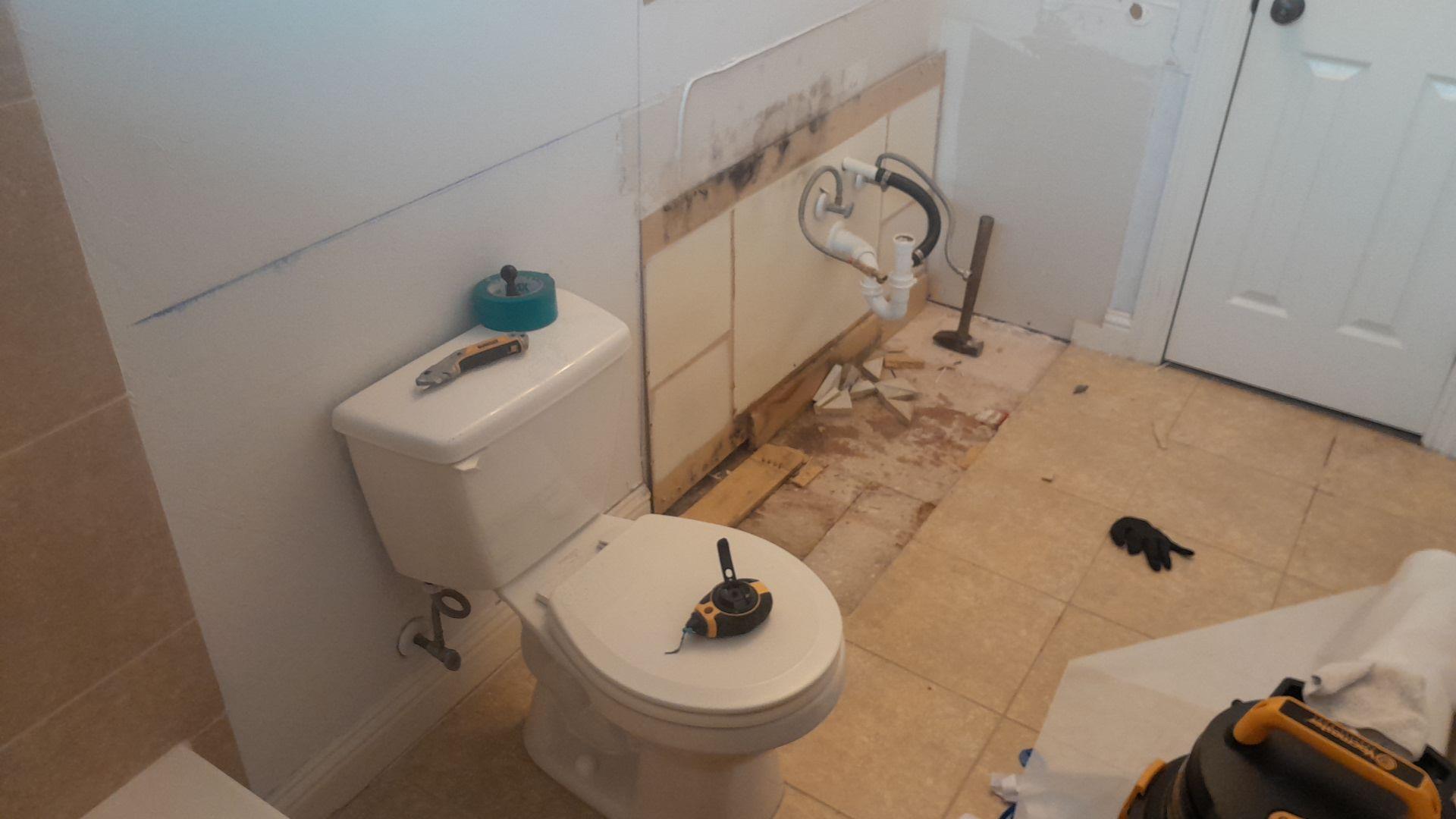 From Leaky Pipes to Mold Growth Gripes:  Conquering a 2-Year-Old Infestation in Allen